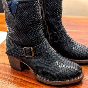 Black Snake Carlitos Sz9